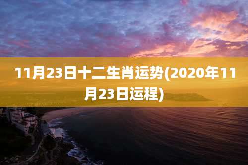 11月23日十二生肖运势(2020年11月23日运程)