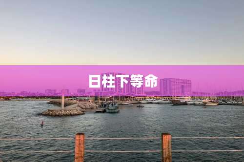日柱下等命
