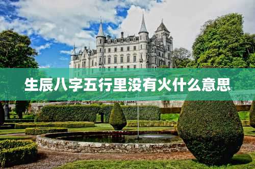 生辰八字五行里没有火什么意思