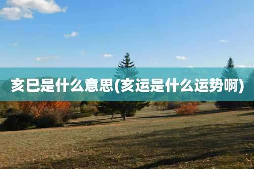 亥巳是什么意思(亥运是什么运势啊)