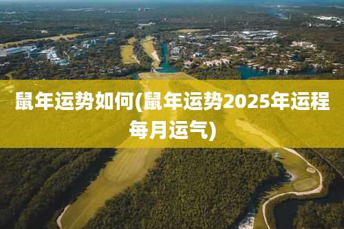 鼠年运势如何(鼠年运势2025年运程每月运气)