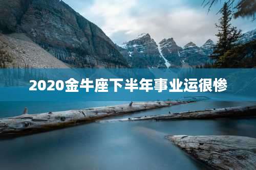 2020金牛座下半年事业运很惨