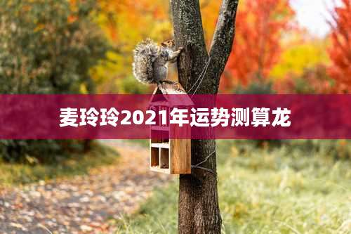 麦玲玲2021年运势测算龙