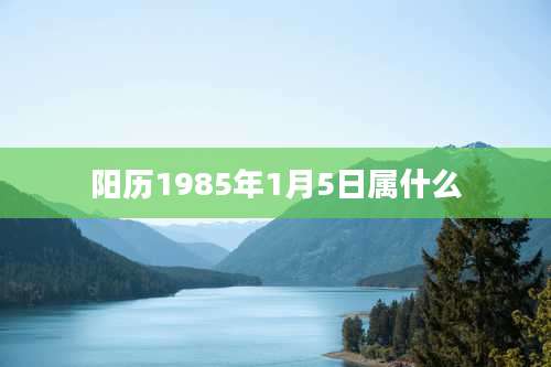 阳历1985年1月5日属什么