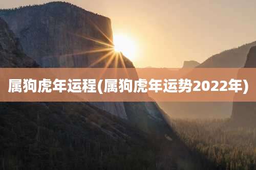 属狗虎年运程(属狗虎年运势2022年)