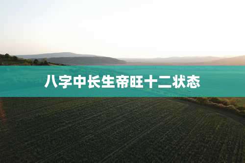 八字中长生帝旺十二状态