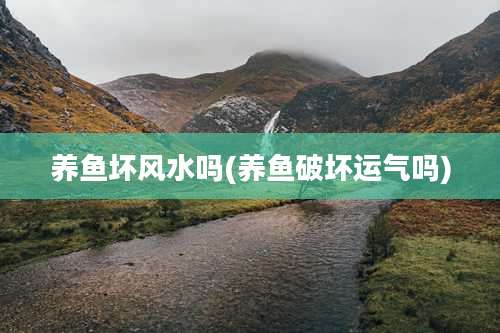 养鱼坏风水吗(养鱼破坏运气吗)