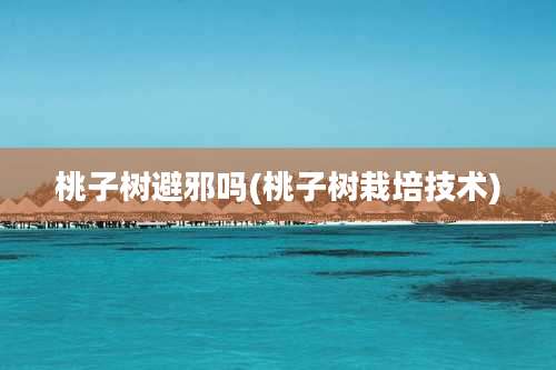 桃子树避邪吗(桃子树栽培技术)