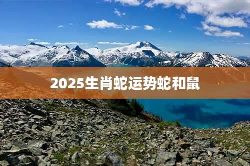 2025生肖蛇运势蛇和鼠