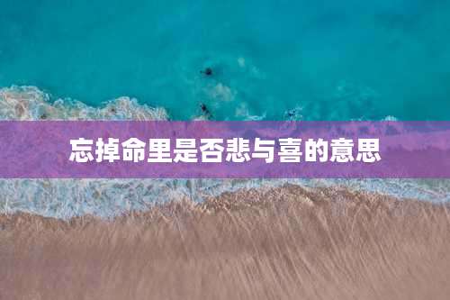 忘掉命里是否悲与喜的意思