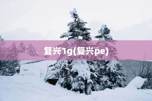 复兴1g(复兴pe)
