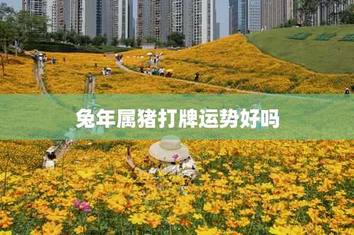 兔年属猪打牌运势好吗