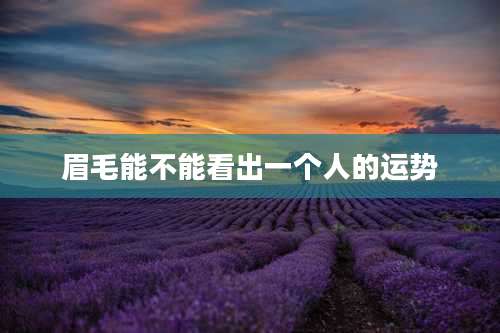 眉毛能不能看出一个人的运势