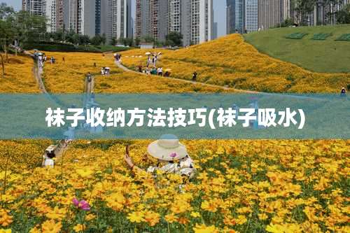 袜子收纳方法技巧(袜子吸水)