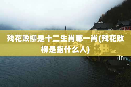 残花败柳是十二生肖哪一肖(残花败柳是指什么人)