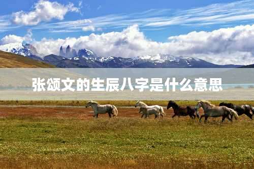 张颂文的生辰八字是什么意思