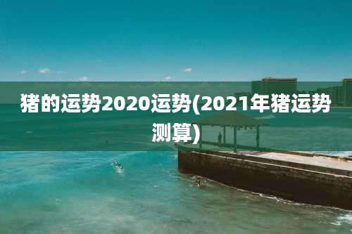 猪的运势2020运势(2021年猪运势测算)