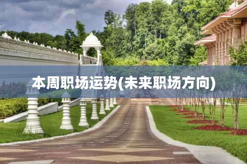 本周职场运势(未来职场方向)