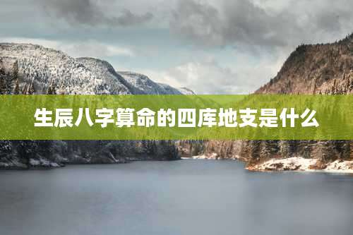 生辰八字算命的四库地支是什么