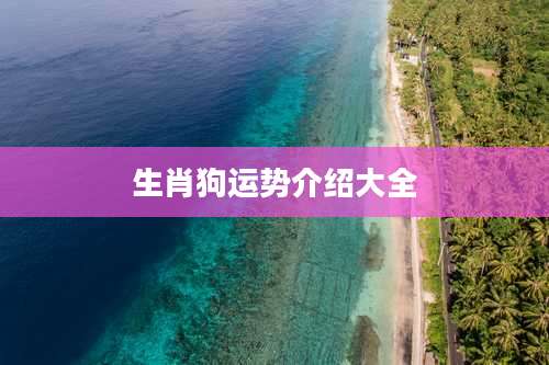 生肖狗运势介绍大全