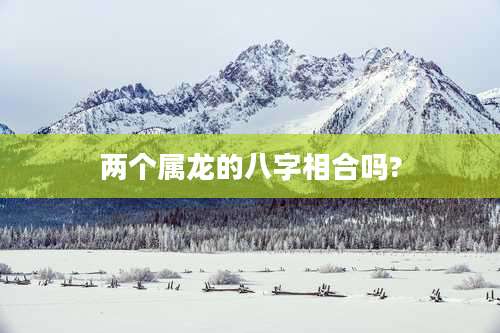 两个属龙的八字相合吗?