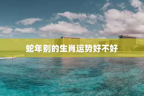 蛇年别的生肖运势好不好