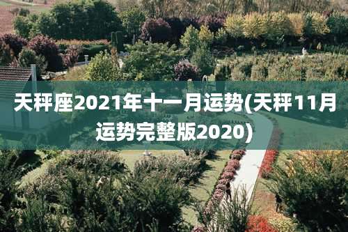 天秤座2021年十一月运势(天秤11月运势完整版2020)