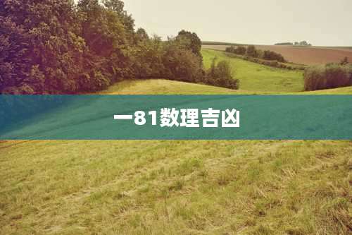 一81数理吉凶