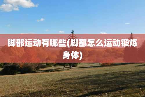 脚部运动有哪些(脚部怎么运动锻炼身体)