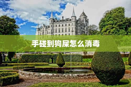 手碰到狗屎怎么消毒