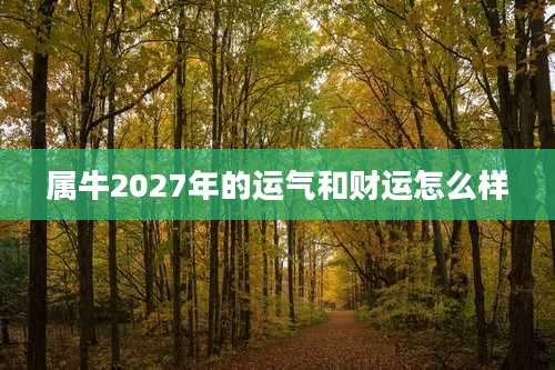 属牛2027年的运气和财运怎么样