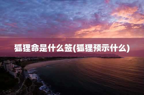 狐狸命是什么签(狐狸预示什么)