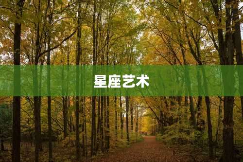 星座艺术