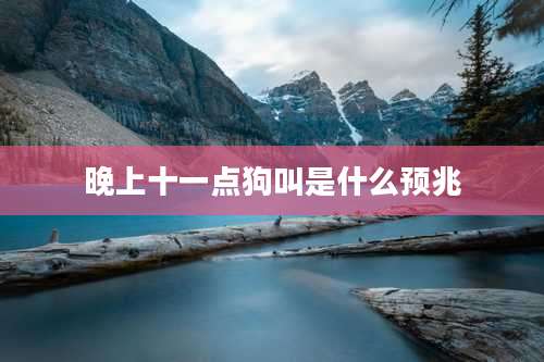 晚上十一点狗叫是什么预兆