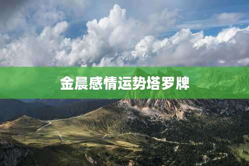 金晨感情运势塔罗牌