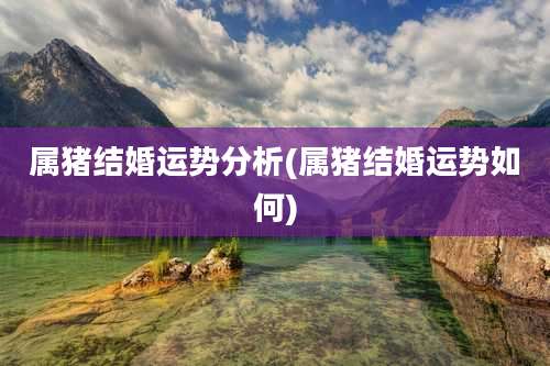 属猪结婚运势分析(属猪结婚运势如何)