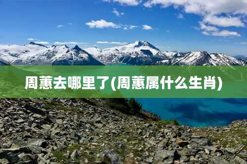 周蕙去哪里了(周蕙属什么生肖)