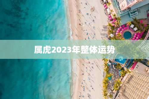 属虎2023年整体运势
