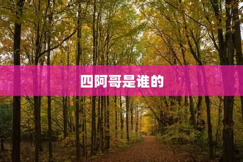四阿哥是谁的