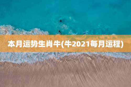 本月运势生肖牛(牛2021每月运程)
