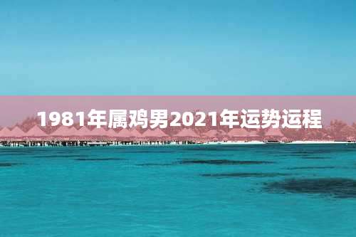 1981年属鸡男2021年运势运程
