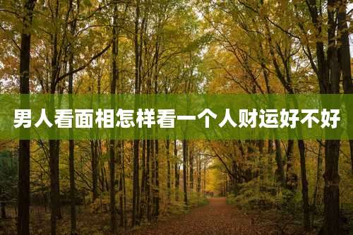 男人看面相怎样看一个人财运好不好