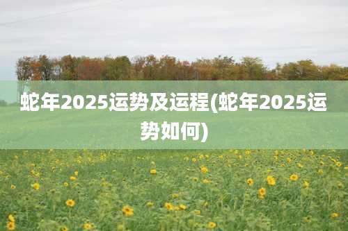 蛇年2025运势及运程(蛇年2025运势如何)