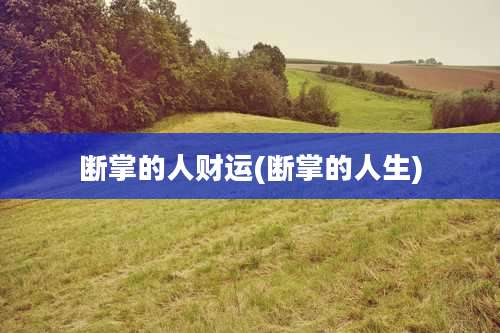 断掌的人财运(断掌的人生)