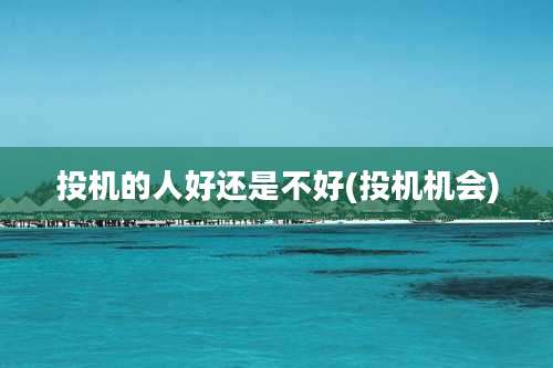 投机的人好还是不好(投机机会)