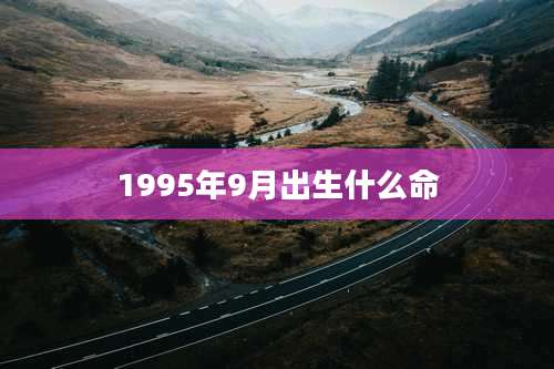 1995年9月出生什么命
