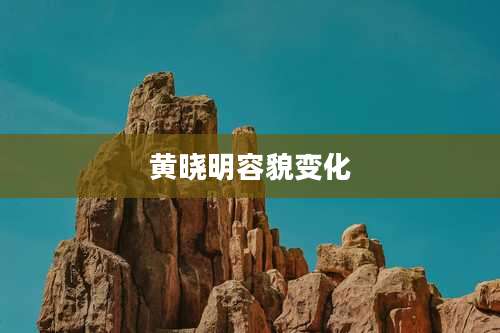 黄晓明容貌变化