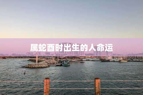 属蛇酉时出生的人命运