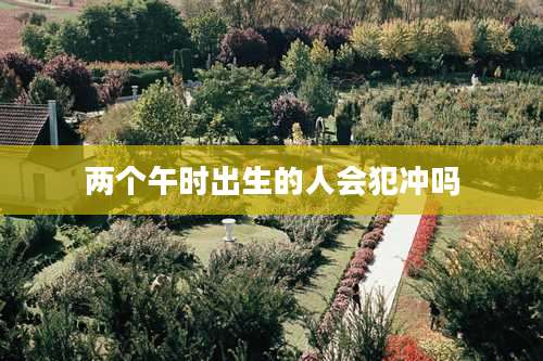 两个午时出生的人会犯冲吗