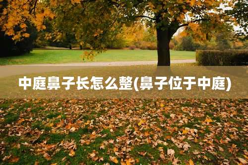 中庭鼻子长怎么整(鼻子位于中庭)